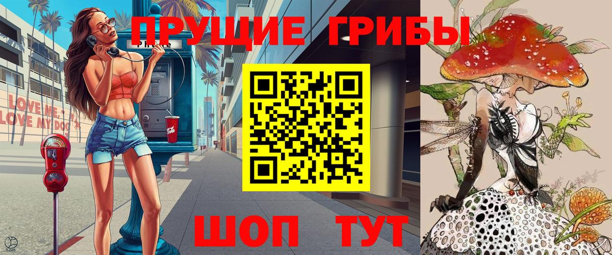 Галлюциногенные грибы Psilocybe Коряжма