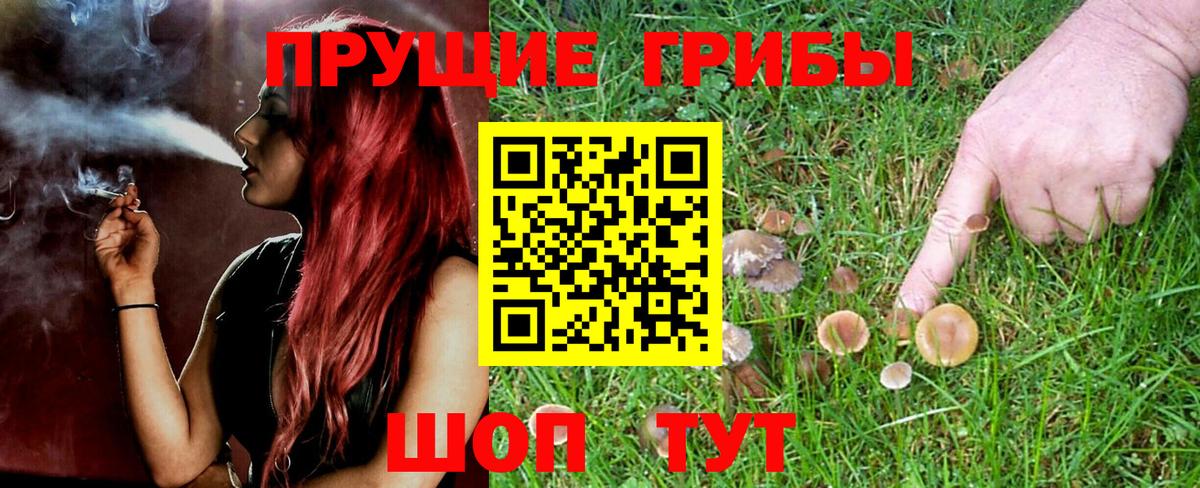 Марихуана  Вейп ТГК  Коряжма  COCAIN  Меф МЯУ МЯУ   Вход с VPN  ГАШИШ  Экстази  Гашиш 